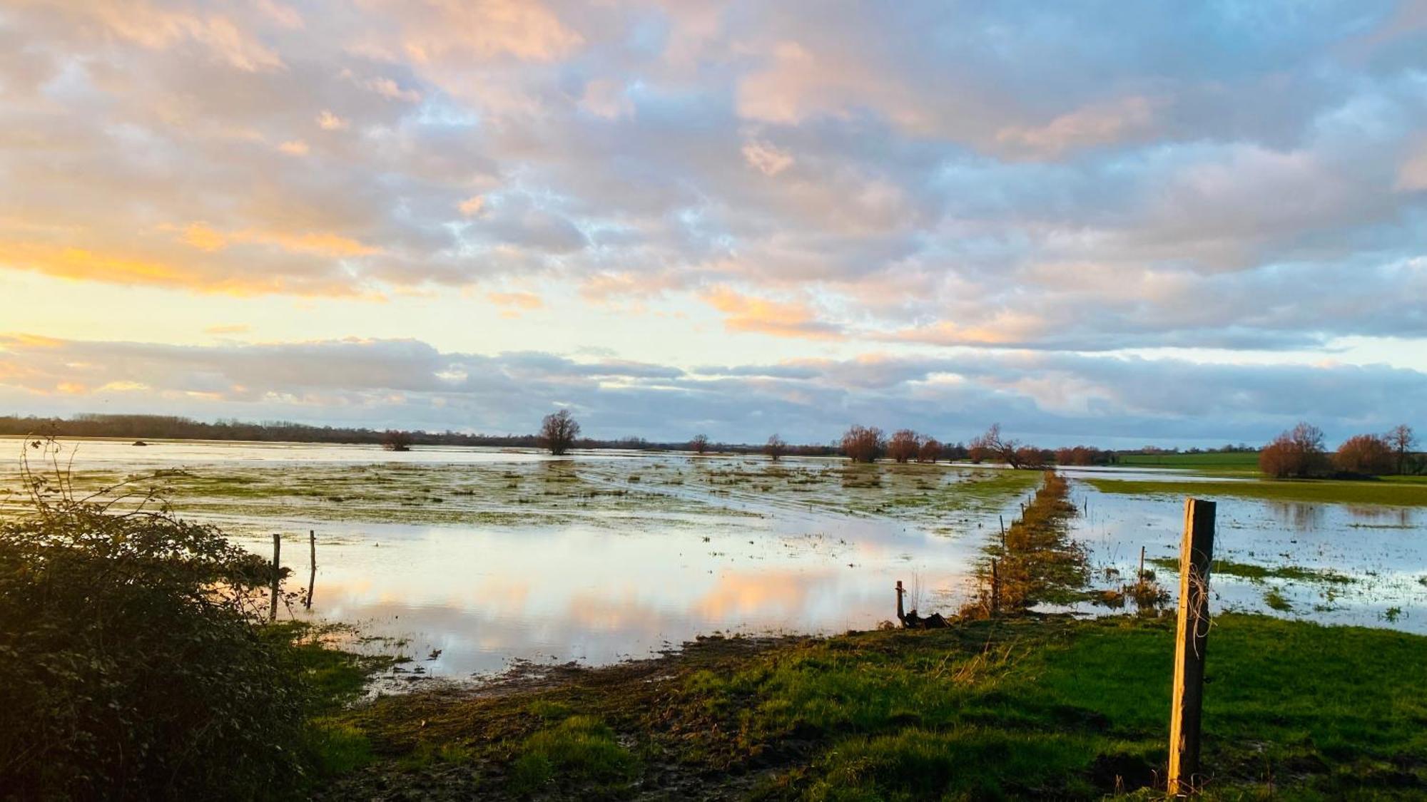 Chambre De Jeanne - Le Refuge Des Parachutistes - En Bordure Du Marais Neuville-au-Plain エクステリア 写真
